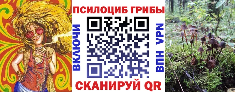 Галлюциногенные грибы GOLDEN TEACHER  где продают   Вязьма 